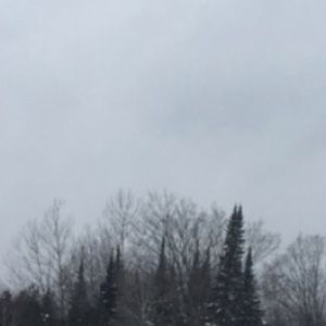 Meet your Posher, Colton